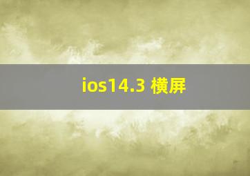 ios14.3 横屏